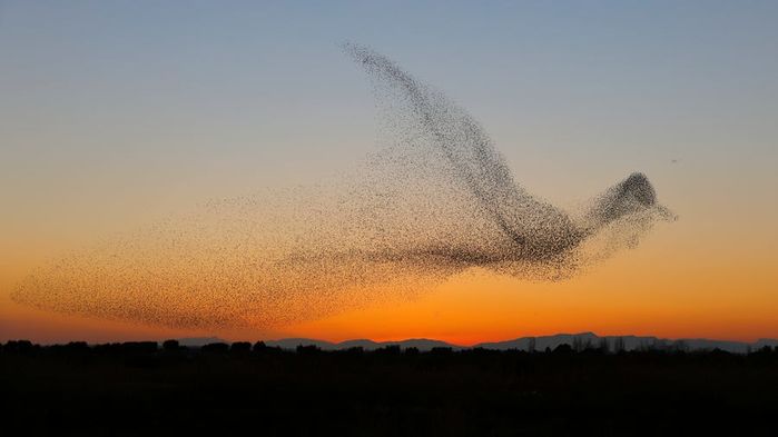 20 strange natural phenomena only lucky people can see