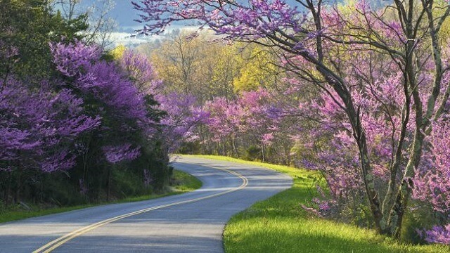 most beautiful roads in the world 7.-Blue-Ridge-Parkway-North-Carolina-Virginia-USA