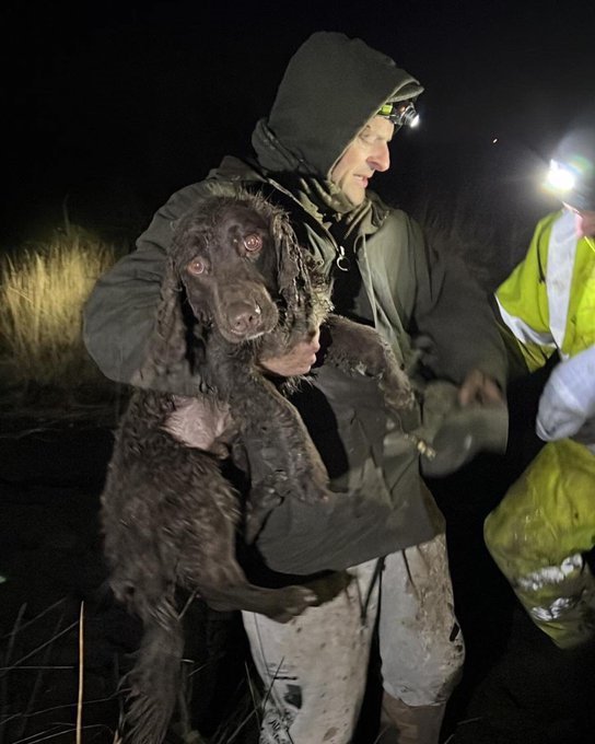 Dog rescued 34 hours after getting stuck down a 22ft deep crevice on a mountain Picture: @SWFireandRescue METROGRAB https://twitter.com/SWFireandRescue/status/1484194795241287681