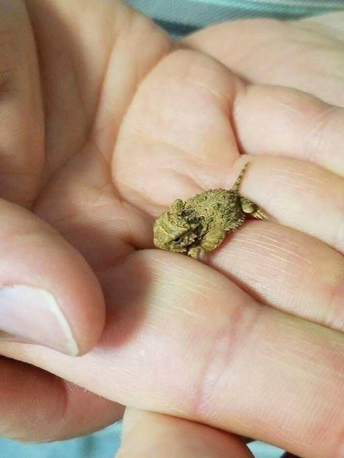 19. A Nug Of Weed