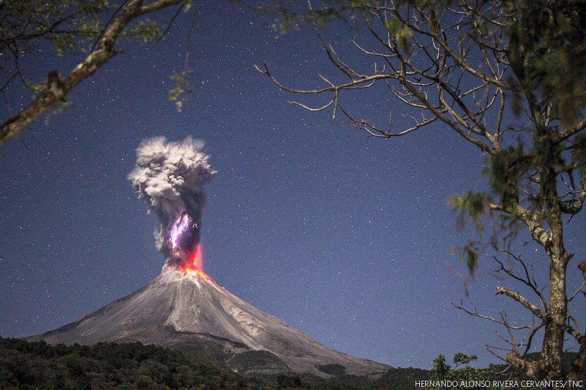 Winners of The Nature Conservancy 2018 Global Photo Contest 13 (1)