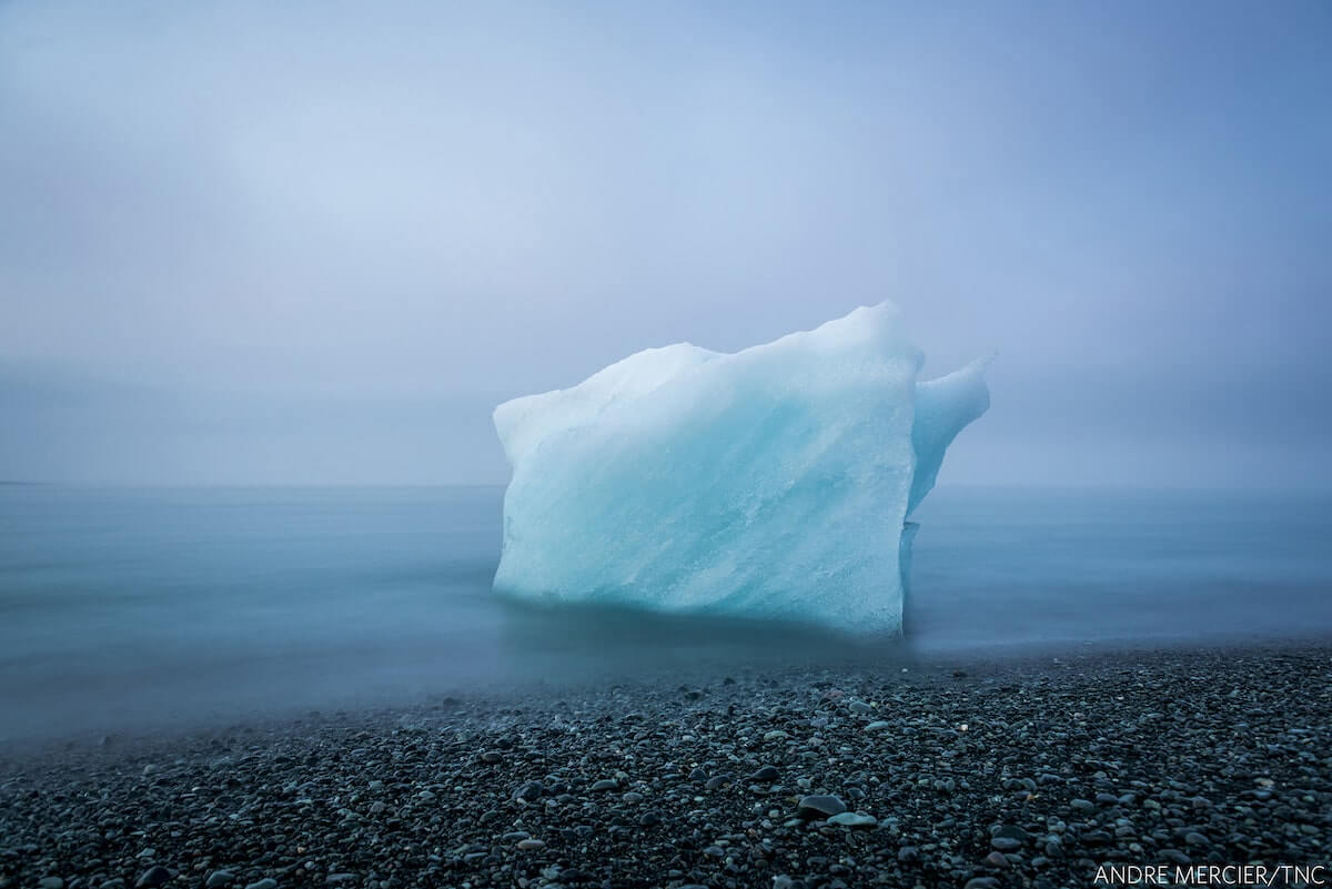 Winners of The Nature Conservancy 2018 Global Photo Contest 2 (1)