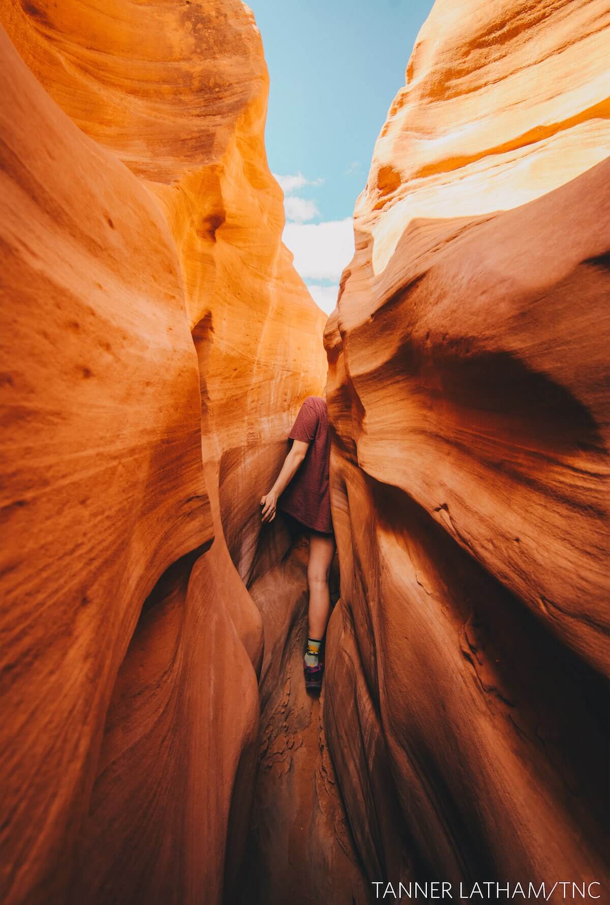 Winners of The Nature Conservancy 2018 Global Photo Contest 4 (1)