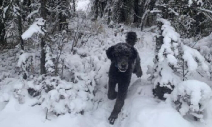 22. Person Running Through The Snow