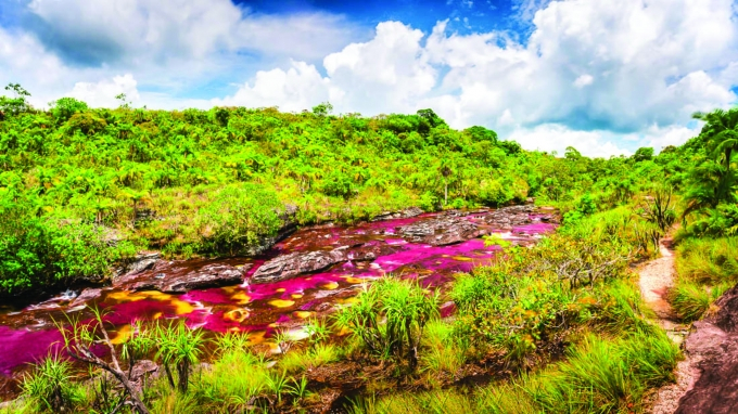 River of 5 colors from above