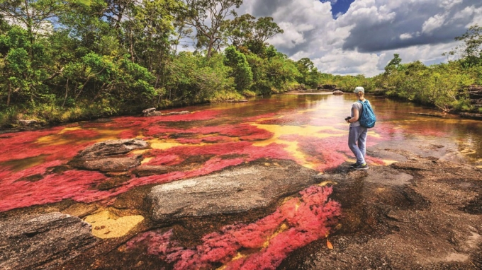 The vegetation in the river has vibrant colors