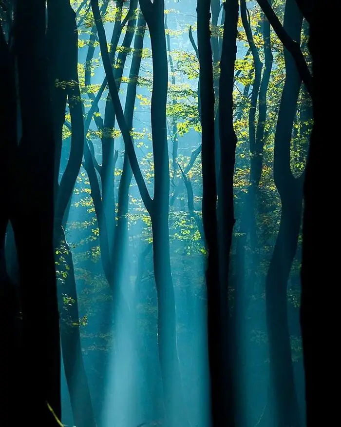 Fairytale-Like Wildlife Photos By Roeselien Raimond