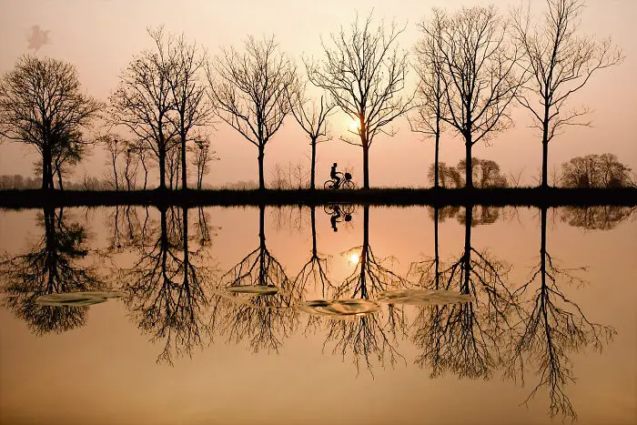 Fairytale-Like Wildlife Photos By Roeselien Raimond