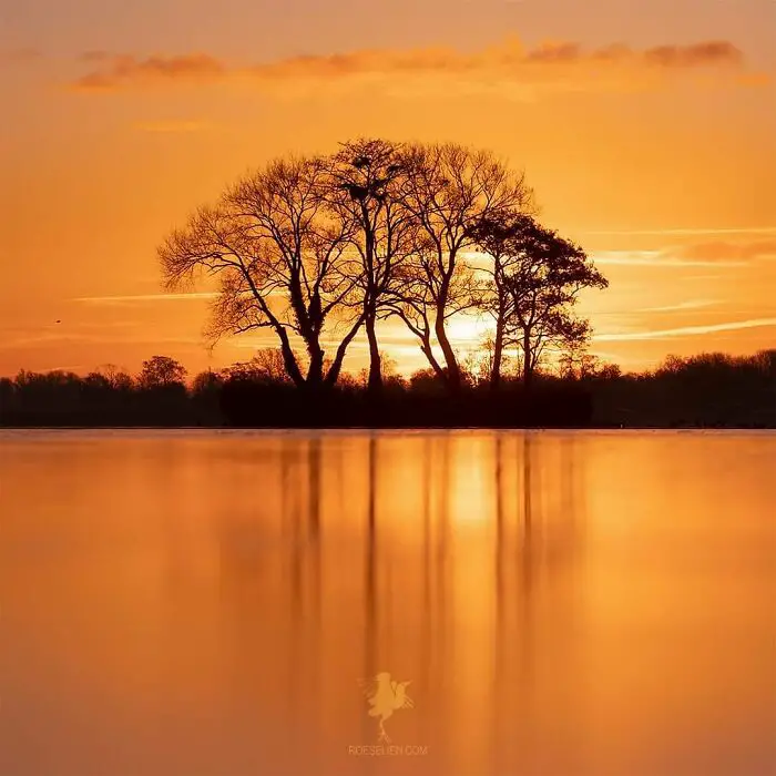 Fairytale-Like Wildlife Photos By Roeselien Raimond