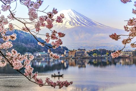 fisherman sailing boat in kawaguchiko lake and sakura with fuji mountain reflection background