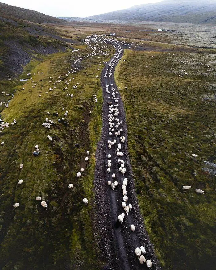 30 Photos Proving Why Iceland Is Different From The Rest Of The World