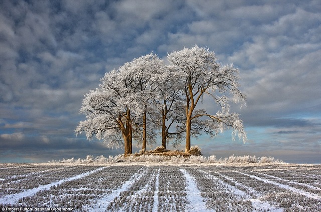 Field in the mist of white winter in Stirlingshire, Scotland.