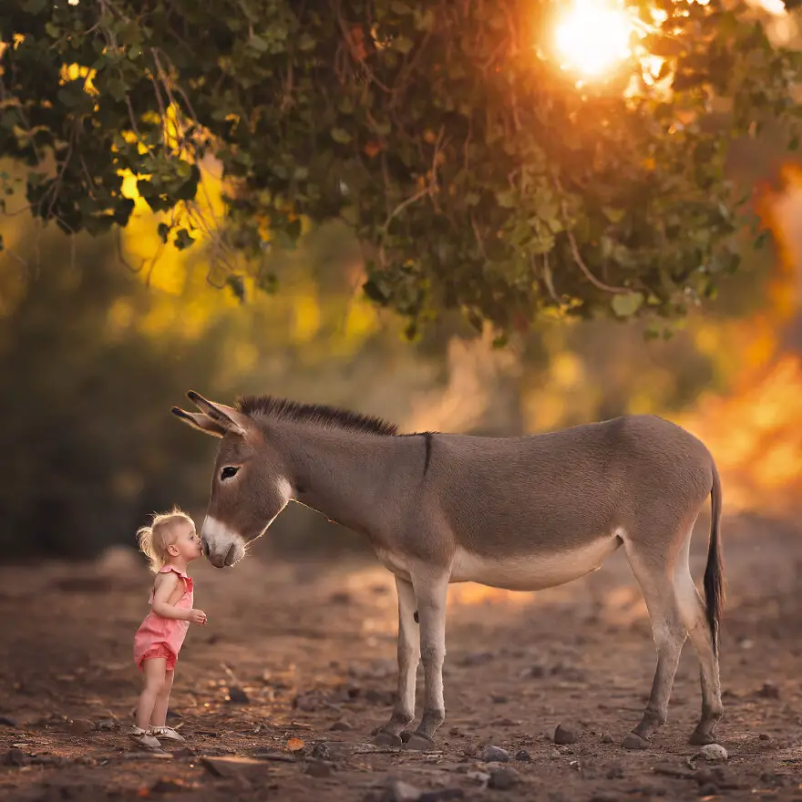 Lisa Holloway Kids Photography With Farm Animals