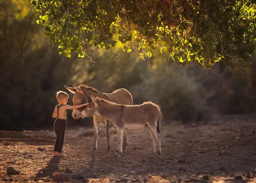 Lisa Holloway Kids Photography With Farm Animals