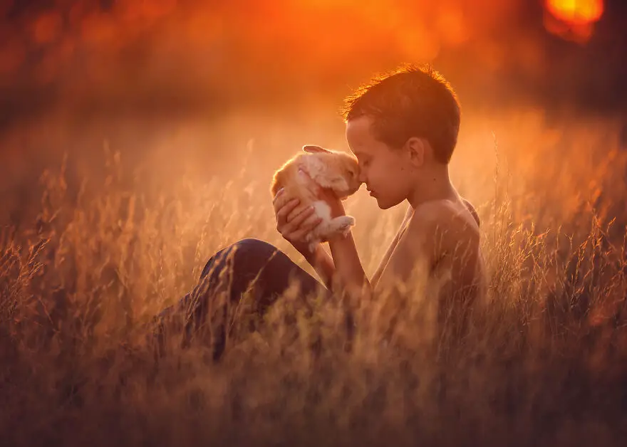 Lisa Holloway Kids Photography With Farm Animals