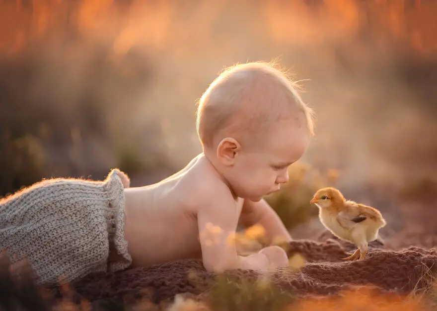 Lisa Holloway Kids Photography With Farm Animals