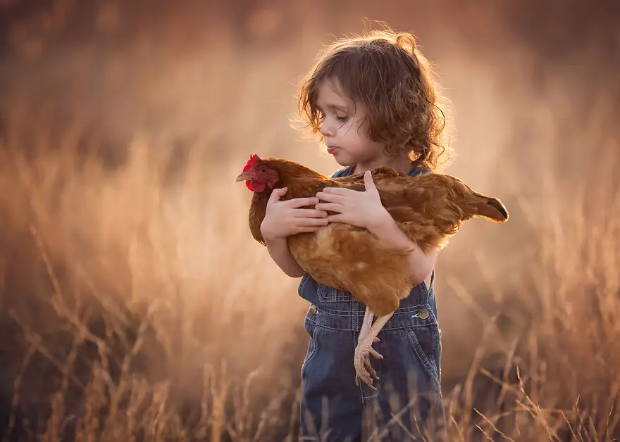 Lisa Holloway Kids Photography With Farm Animals