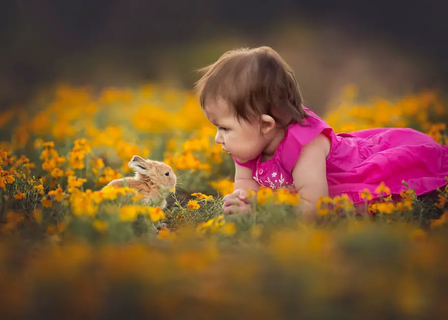 Lisa Holloway Kids Photography With Farm Animals