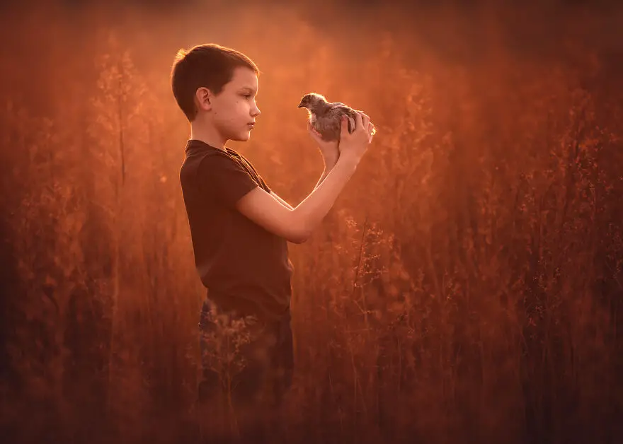 Lisa Holloway Kids Photography With Farm Animals