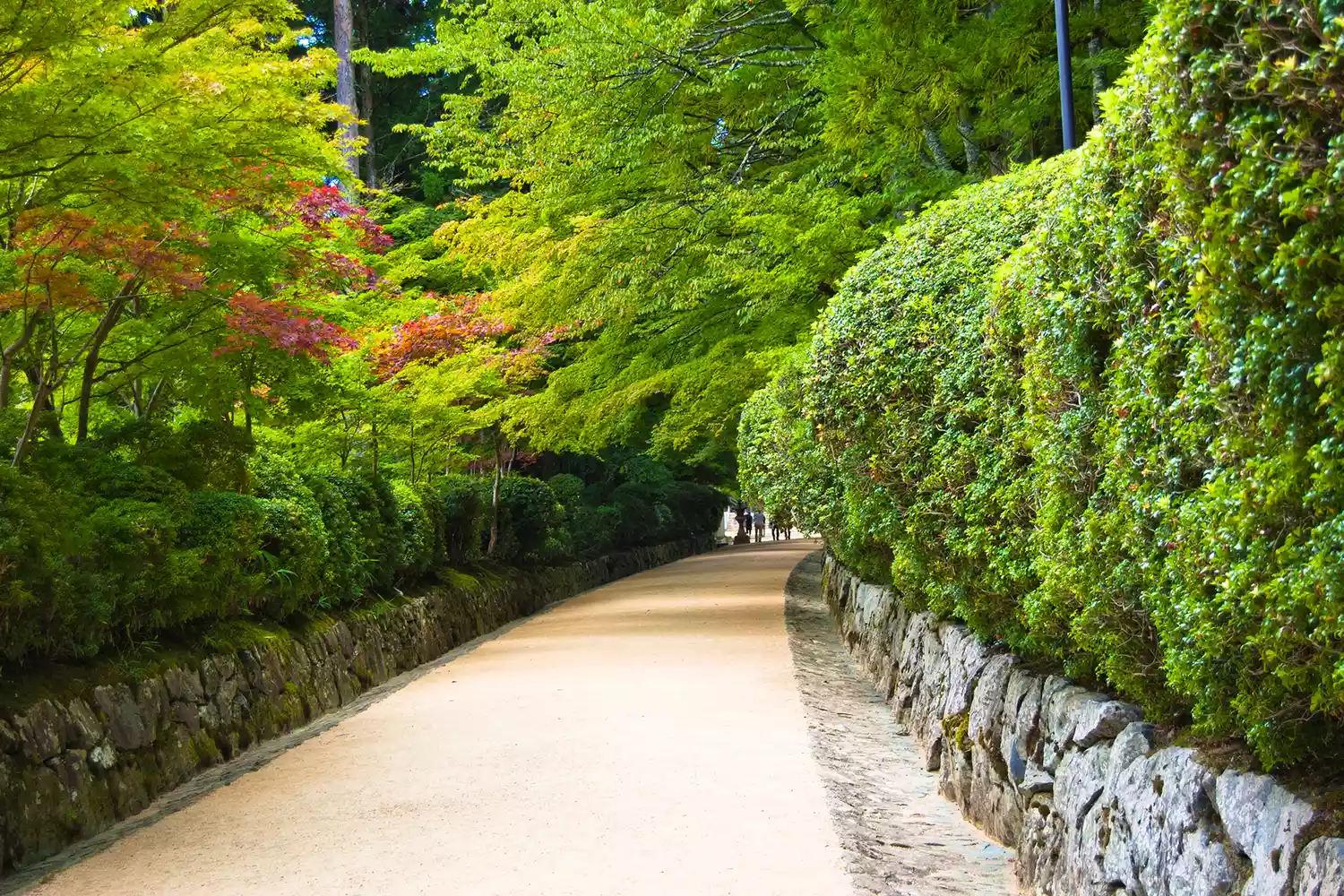 Path to temple in Koyasan.