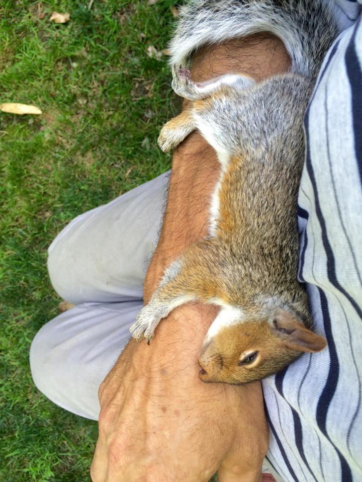 40 Photos Of Animals In Love That Can Melt Even A Frozen Heart