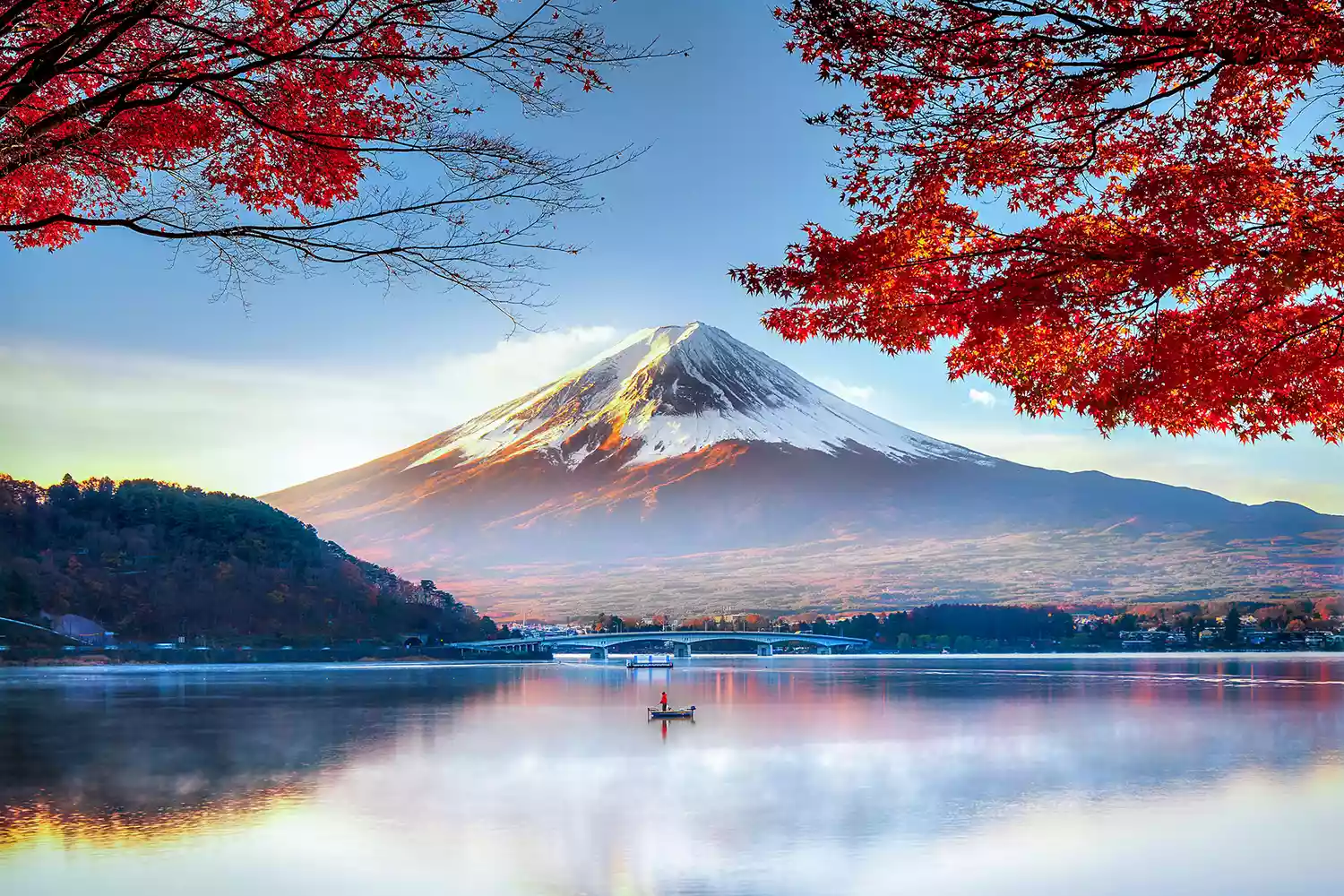 Fuji Mountain in Autumn