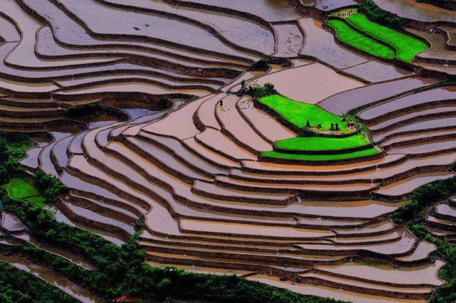 Natural marvels are so beautiful that it's unbelievable that it's real on Earth, including a place in Vietnam - Photo 14.