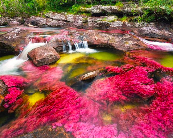 Natural marvels are so beautiful that it's unbelievable that it's real on Earth, including a place in Vietnam - Photo 6.