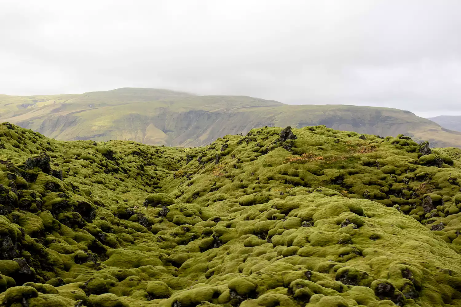 Lava field at Eldhraun, Vatnajökull National Park, Southern Region, Iceland