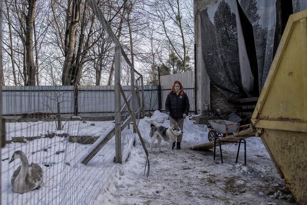 A woman is outdoors with a white and gray dog that has only one foreleg.