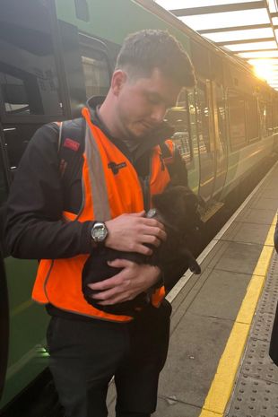 Puppy saved by trainee train driver Stefan Hug.