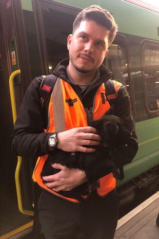 Puppy saved by trainee train driver Stefan Hug.