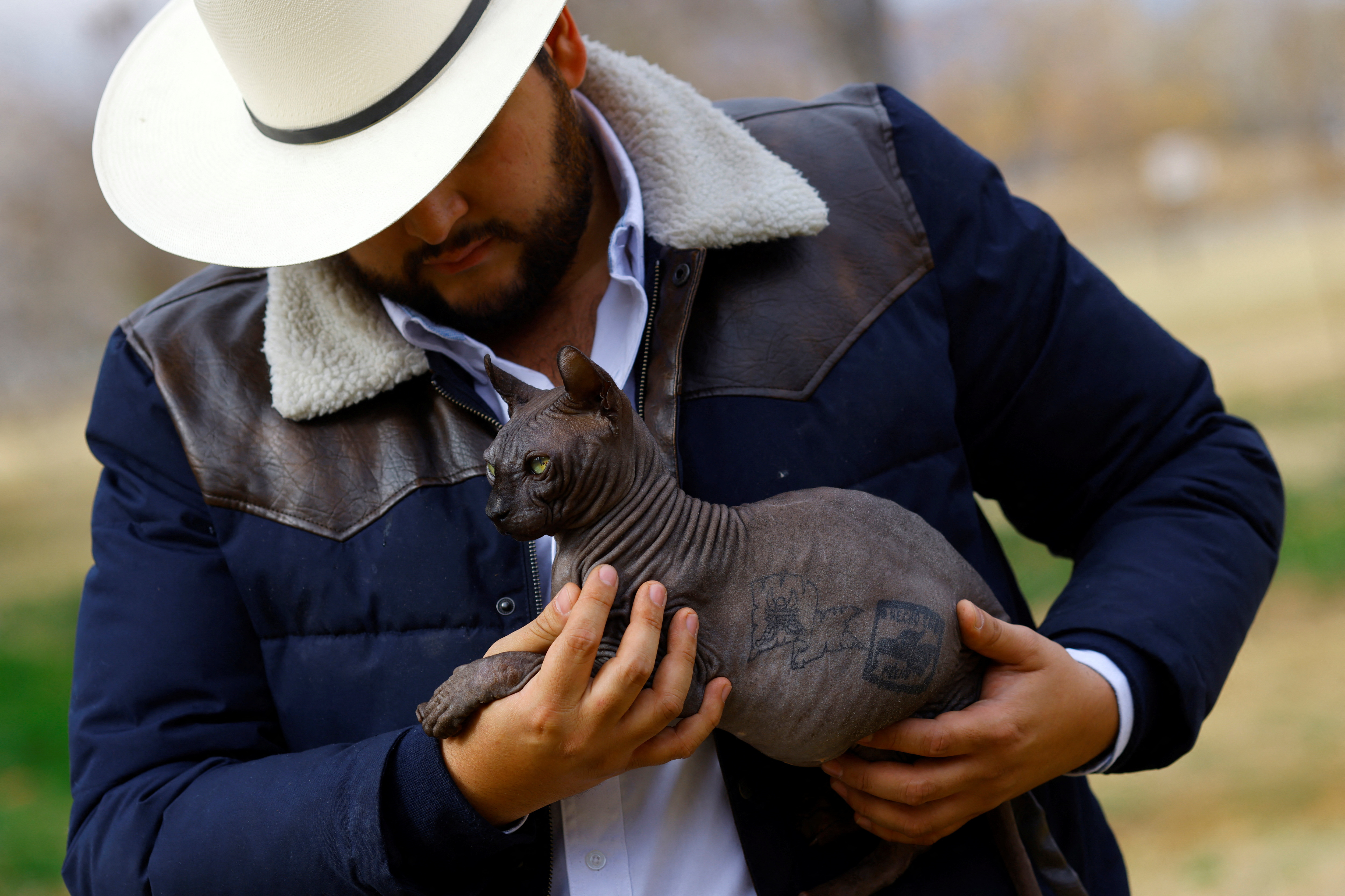 Sphynx cat rescued by police from the Cereso 3 prison in Ciudad Juarez