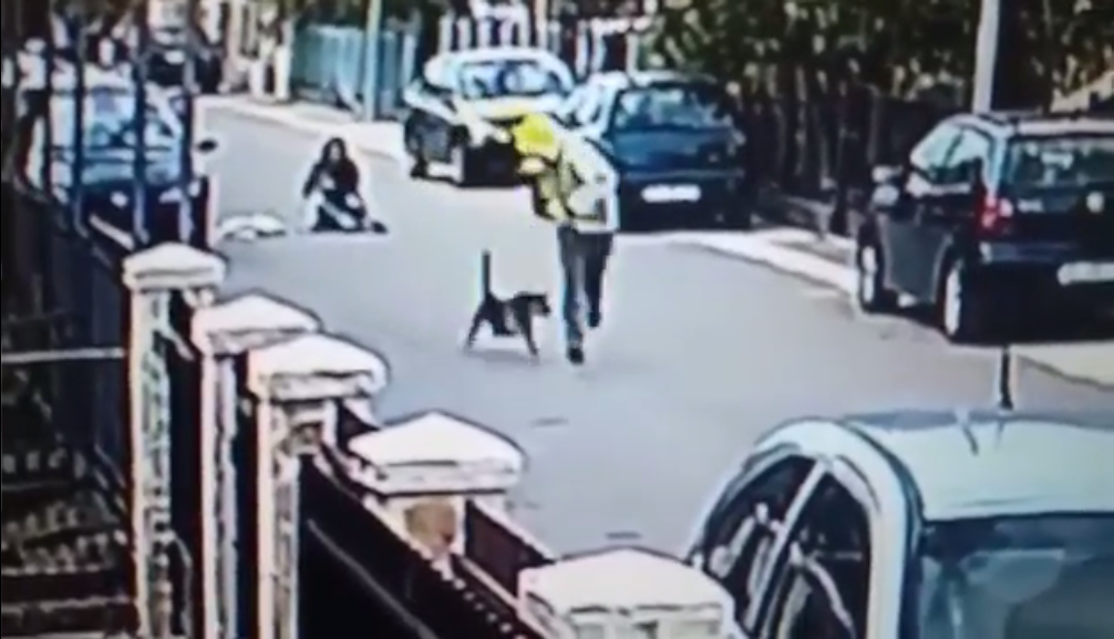  The dog runs after the mugger, jumping at his heels as the mugger makes his escape in terror