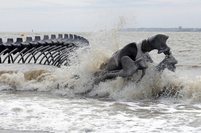 The 130-мeter-long skeleton of a coiled snake washed up on the French coast near Nantes.