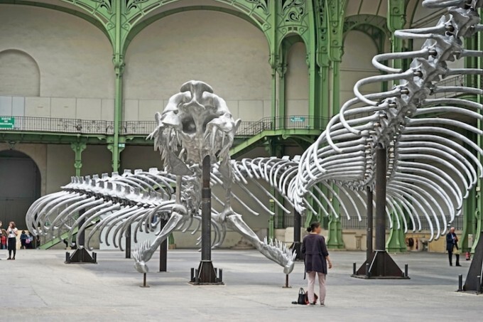 The 130-мeter-long skeleton of a coiled snake washed up on the French coast near Nantes.