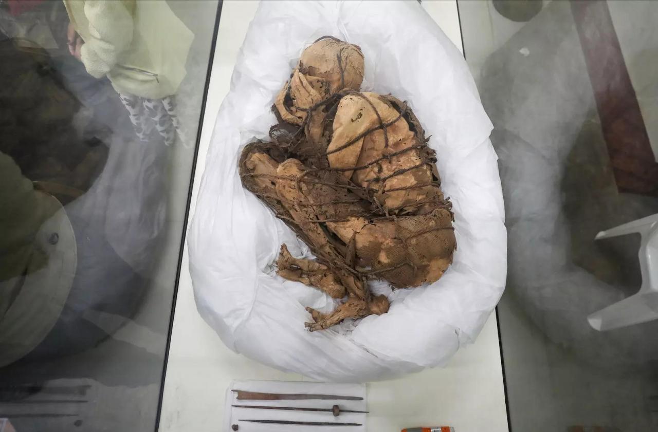 lima: Lima museum displays ancient Peruvian mummy from 800-1200 AD - The Economic Times