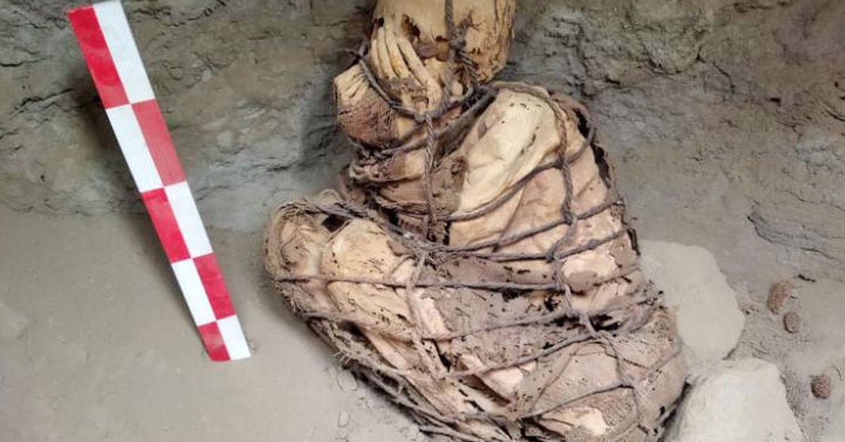 Mummy that's at least 800 years old found by archeologists in Lima