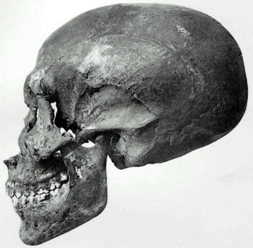 Profile view of the skull recovered from KV55. 