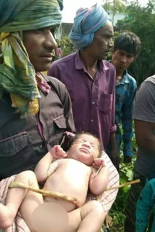 An abandoned new born was allegedly saved by litter of puppies which kept her warm in field overnight.