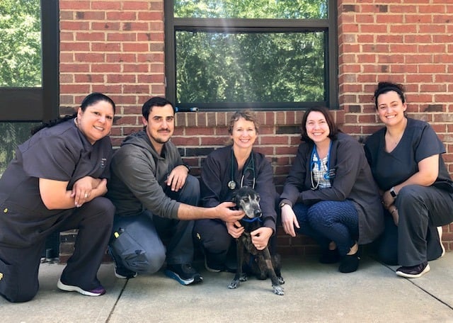 five humans and dog posing for picture