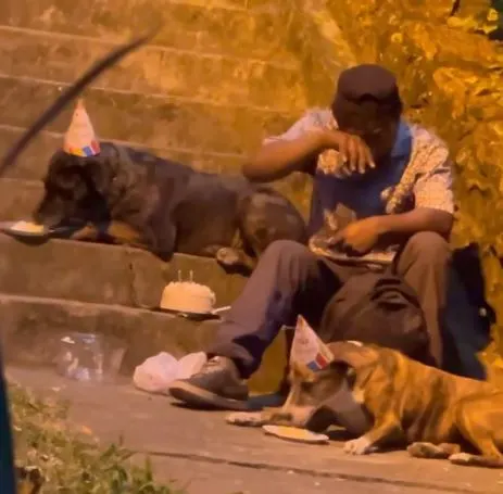 Choco getting emotional while on the stairs with his dogs