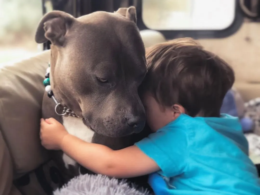 Dog and kid hugging