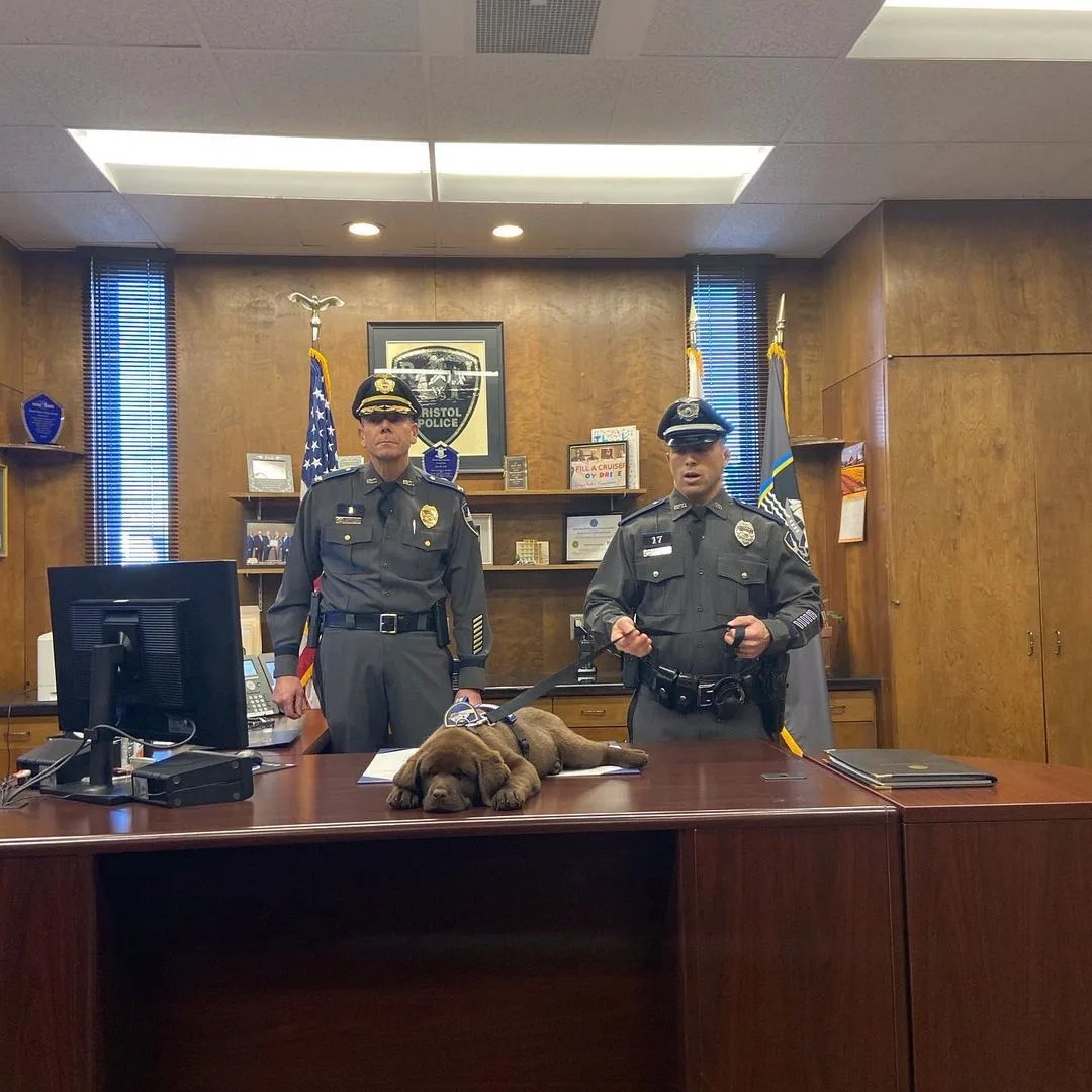 K-9 dog slept through the ceremony on the table