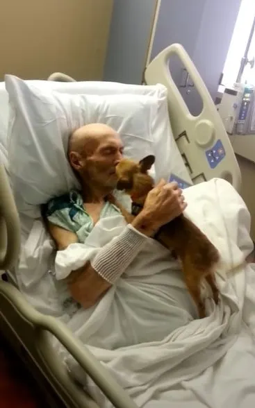 dog licking man on hospital bed