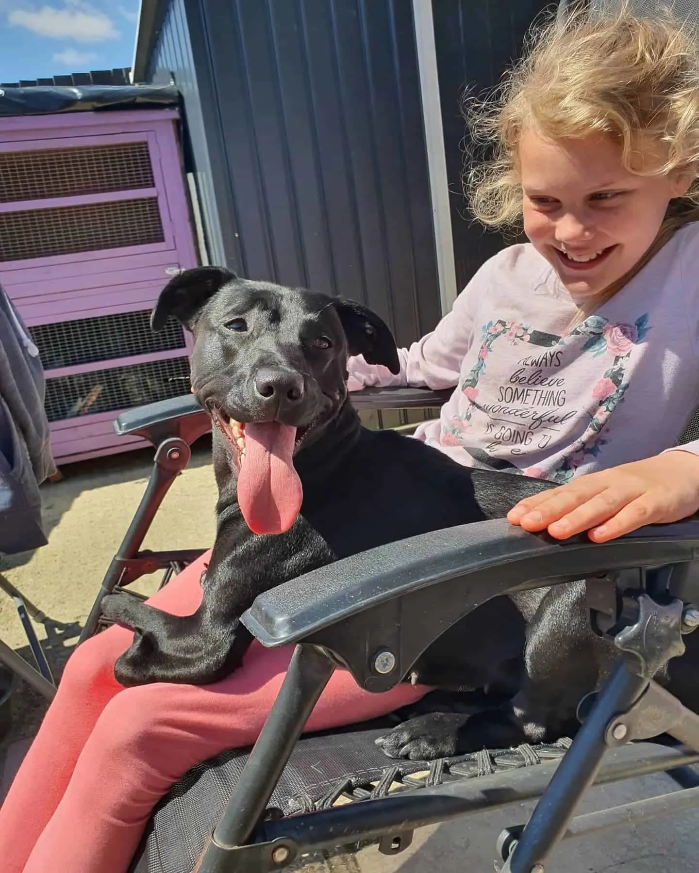 happy girl sitting on the chair with black dog