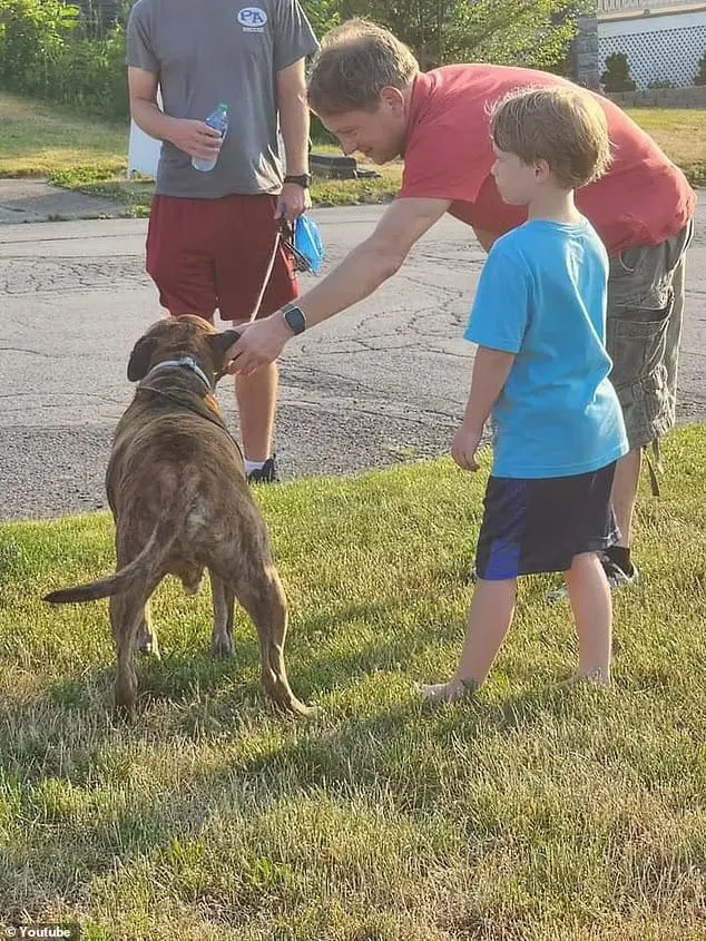 neighbors saying hi to mellow