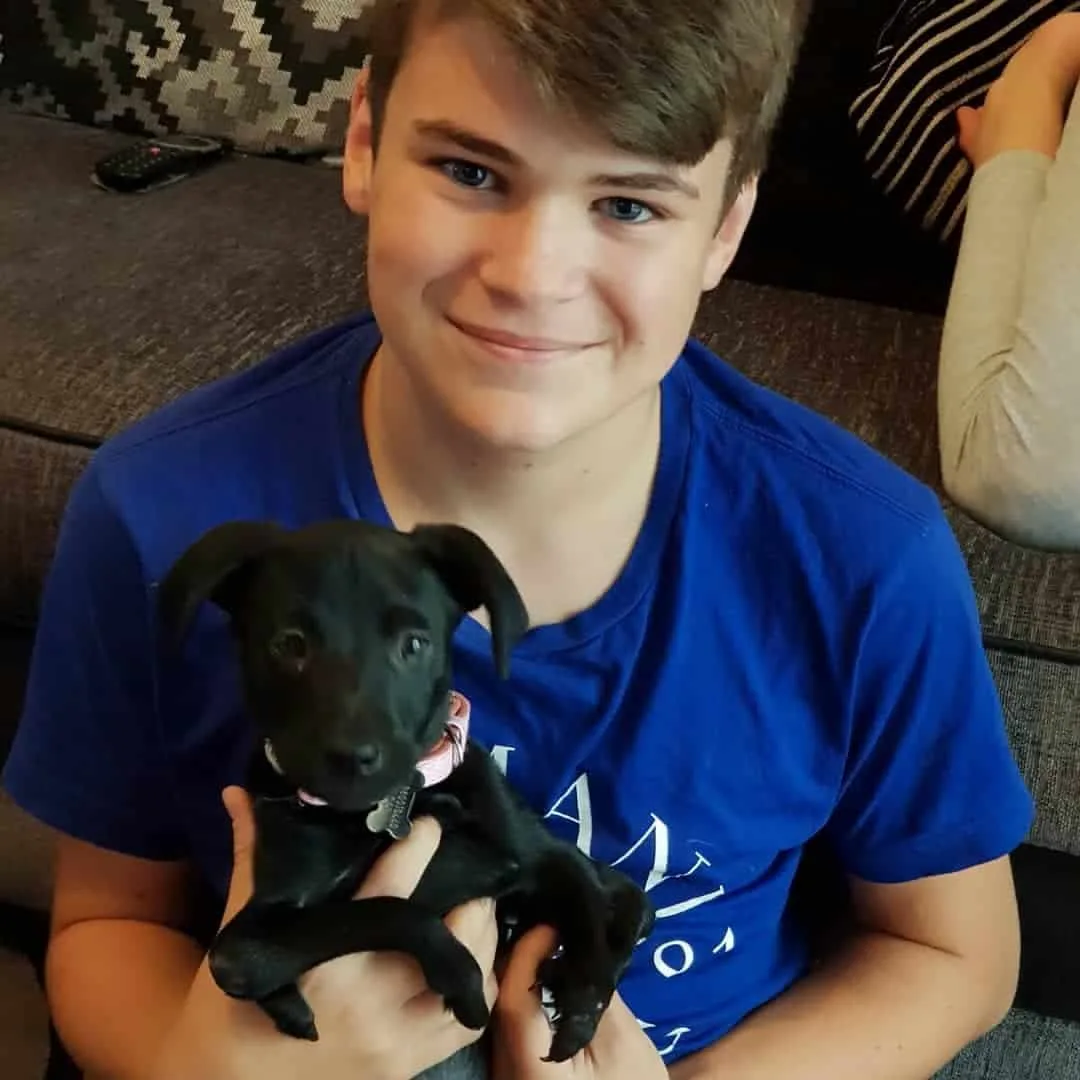 a boy in blue shirt holding a little black puppy 