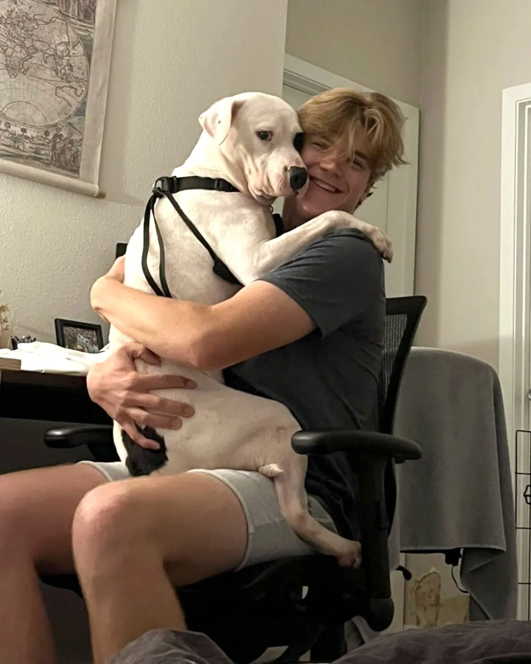 woman holding dog in arms