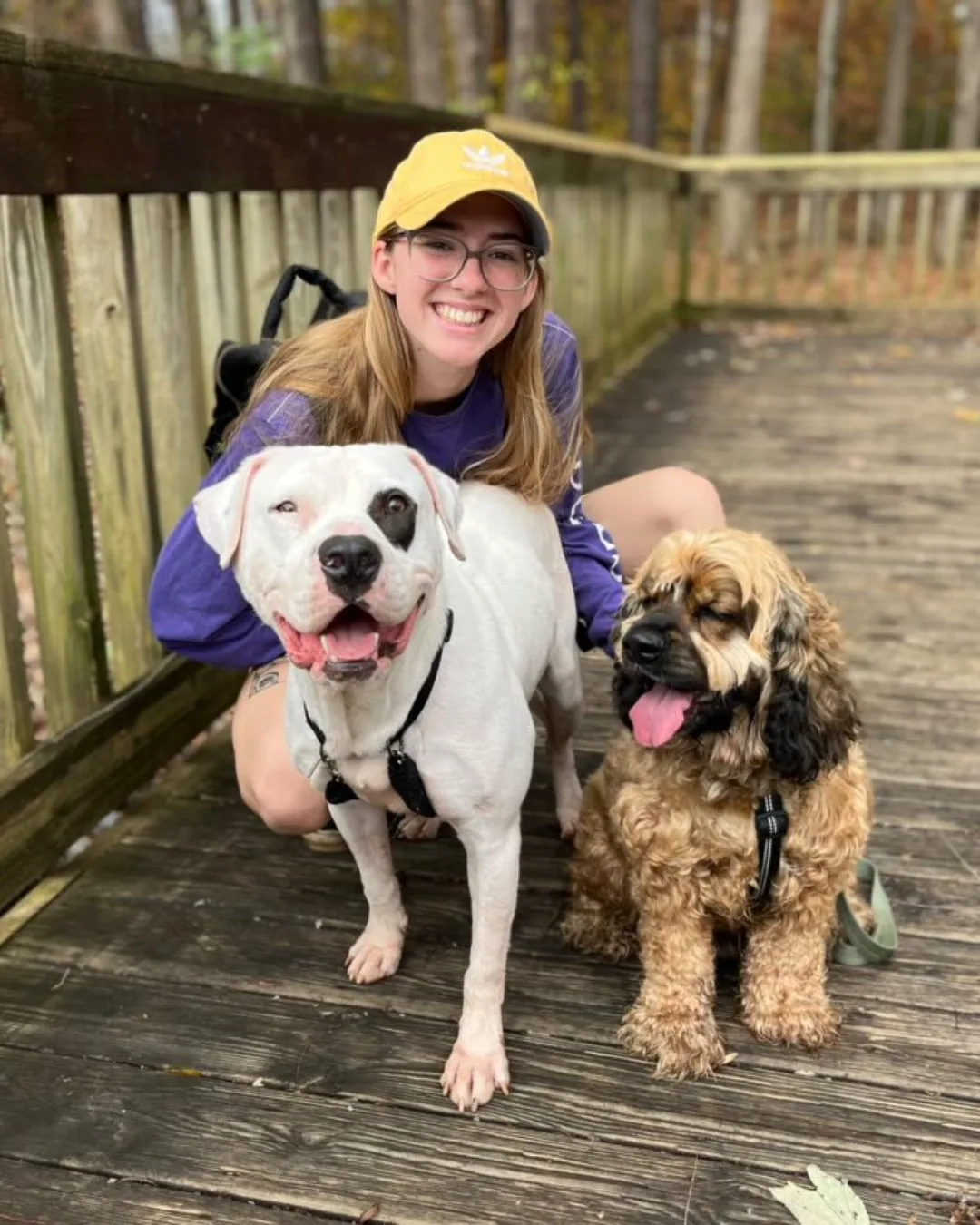 young woman smiling with dogs